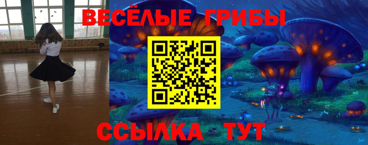 как найти закладки  Вход с VPN  Кингисепп  Галлюциногенные грибы Psilocybine cubensis 